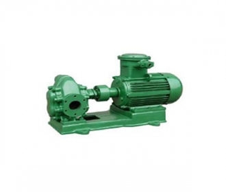 2CY系列齒輪油泵|齒輪式潤(rùn)滑泵